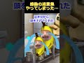 【猫ミーム】ラーメン屋感動話　#2ch #2ch面白いスレ #猫ミーム #ゆっくり解説　#2chまとめ #感動 #感動する話