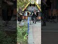 Birjy &amp; Steve #livemusic #renaissancefestival #viola #drums