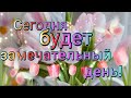 Хорошего дня! ☀️🌈🌷#МУЗЫКАЛЬНАЯОТКРЫТКА