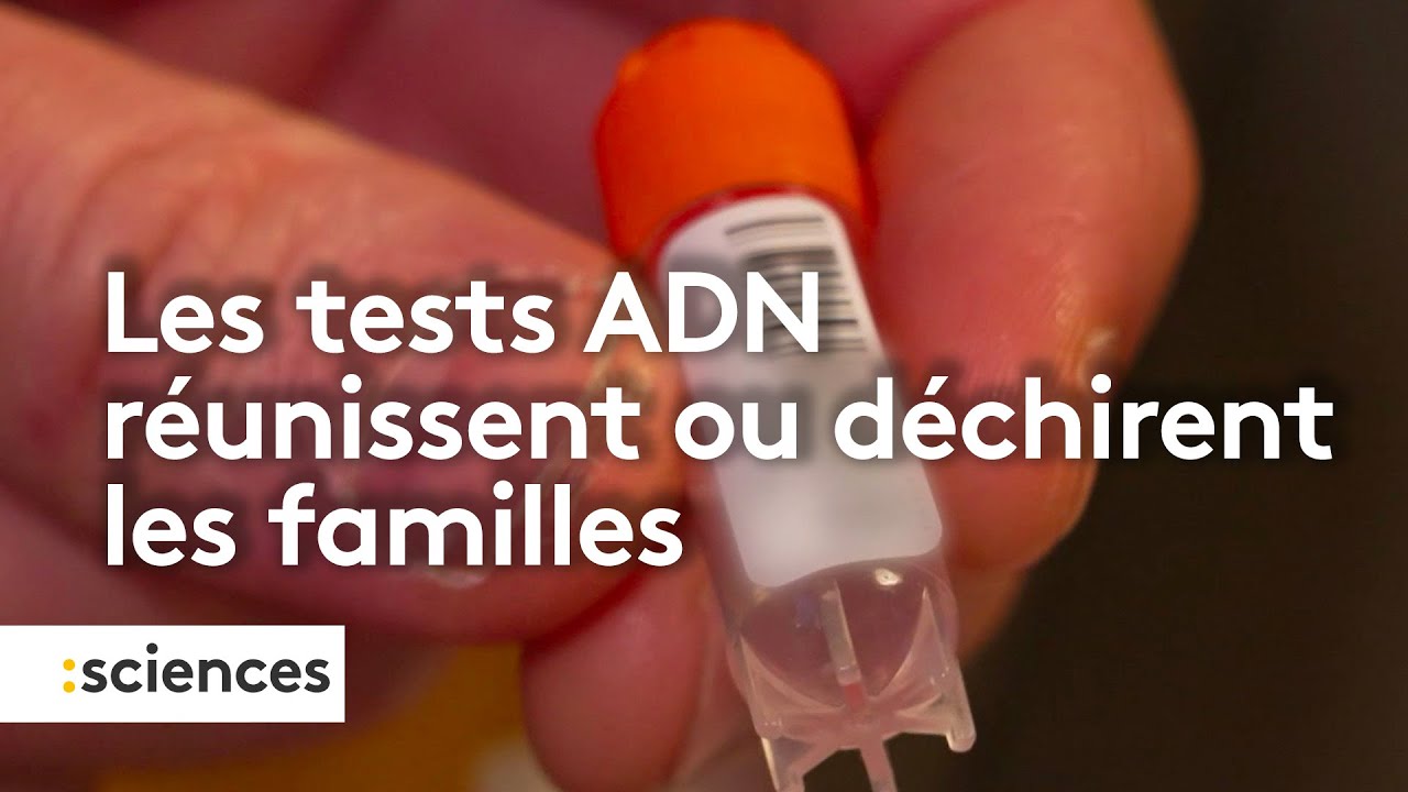 Ces tests ADN réunissent ou déchirent les familles