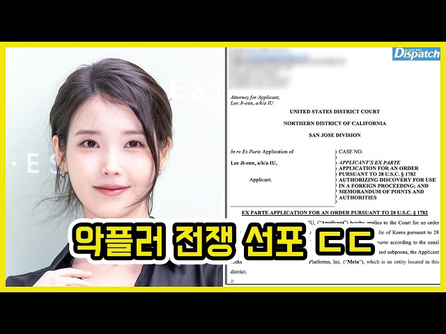 아이유, 미국 법원에 악플러 신원조회 요청 ㄷㄷ | 도람뿌
