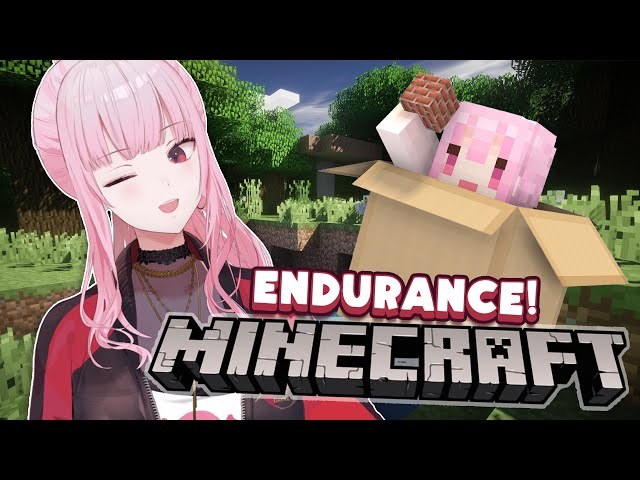 【MINECRAFT ENDURANCE】Building Day! Carnival and Onsen Work.のサムネイル