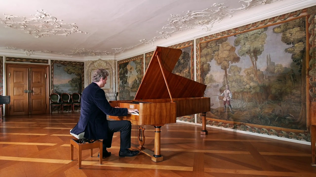 Hardy Rittner plays Frédéric Chopin • Étude C Sharp Minor • OP. 10 NO. 4