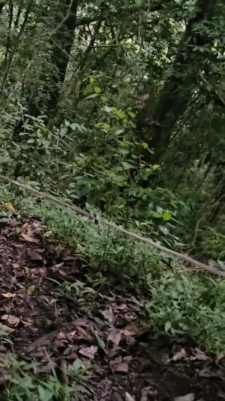 PERJALANAN PALING BAHAYA