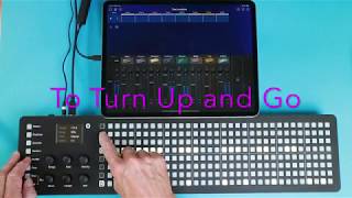 To Turn Up and Go // Polyend Seq & Korg Gadget 2