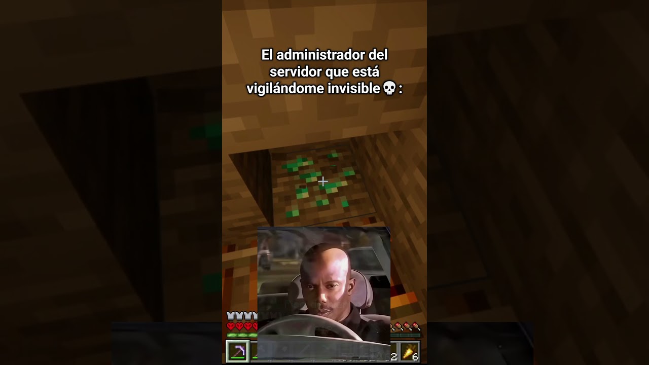 EL ADMIN LO SABE!🦙 