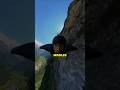 World’s Most Dangerous Adventures😱 | Insane Risky Activities That Shocked the Internet