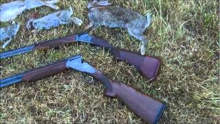 Rabbit Shooting With 12 Guage Shotgun (Baikal)