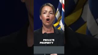 Conservatives need experienced leadership to defeat the NDP.