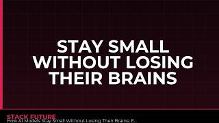 How AI Models Stay Small Without Losing Their Brains: Efficient LLMs