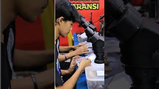 Belajar servis HP dari nol sampai mahir bersama LPK Quantum Telecommunication! 📱🔧 #ServisHP