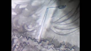 Video thumbnail of "venus infection"jupiter""