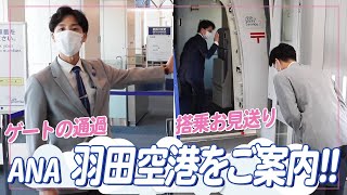 見るだけで羽田マスター！？グランドスタッフが飛行機までお連れします！