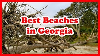 The 5 Best Beaches in Georgia | The United States Beaches