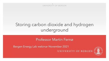 Storing carbon dioxide and hydrogen underground