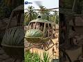 Poor Grandpa Built a REAL Helicopter From Palm Leaves 😱🚁 #shorts
