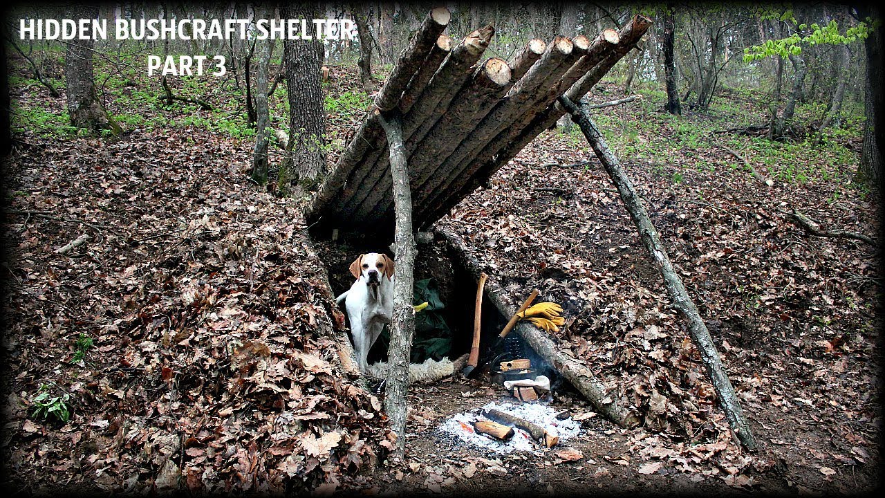 Secret Shelter - at hidden4fun.com