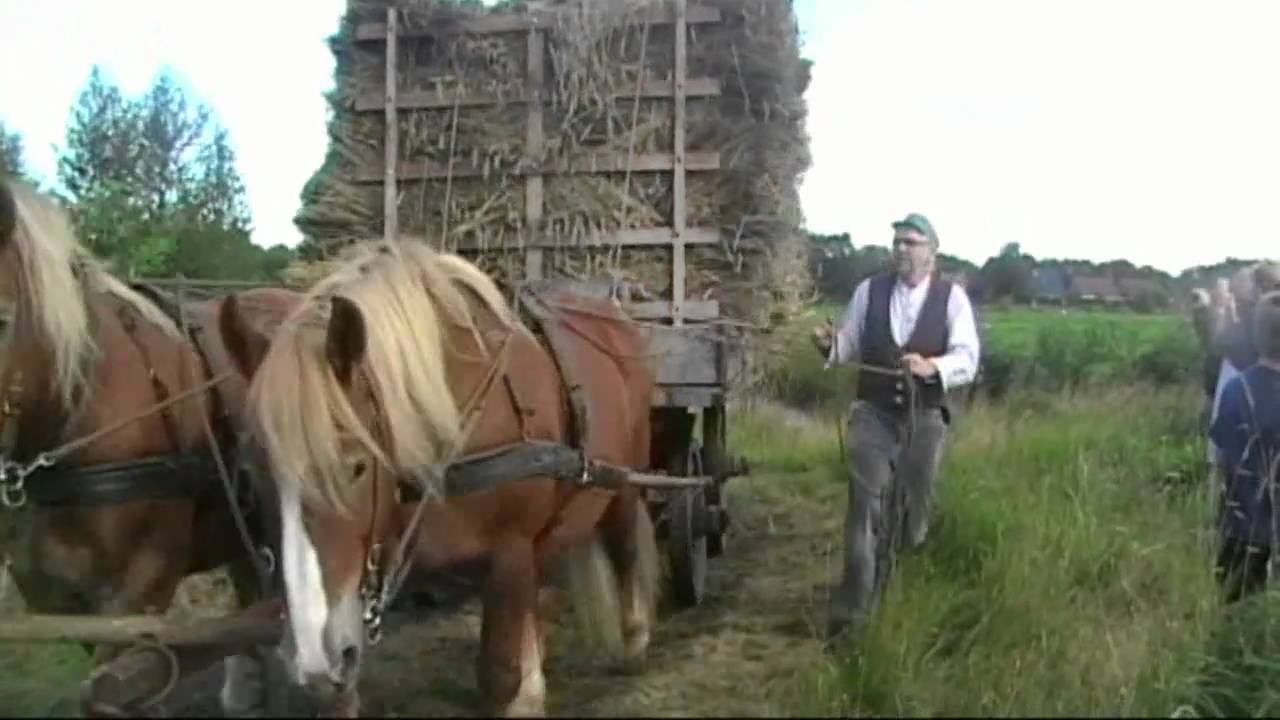 Oogstfeest Muntendam 2010