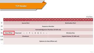 29  TCP Header
