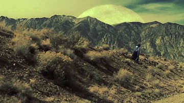 CALIFORNIA POPPY | DAVID DOUGLAS official video