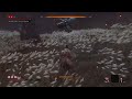Isshin, the Sword Saint No Hit - Sekiro