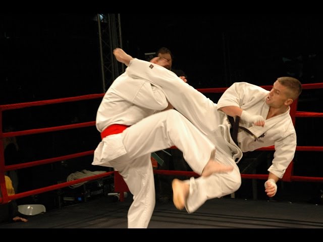 Top 15 Deadliest Martial Arts In The World (Ranked)