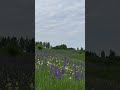 Звуки природы 🪻 #красота #nature #задонскийрайон