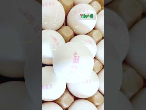 اعرف أماكن بيع البيض التركي الكرتونة ب 150 جنيه بس