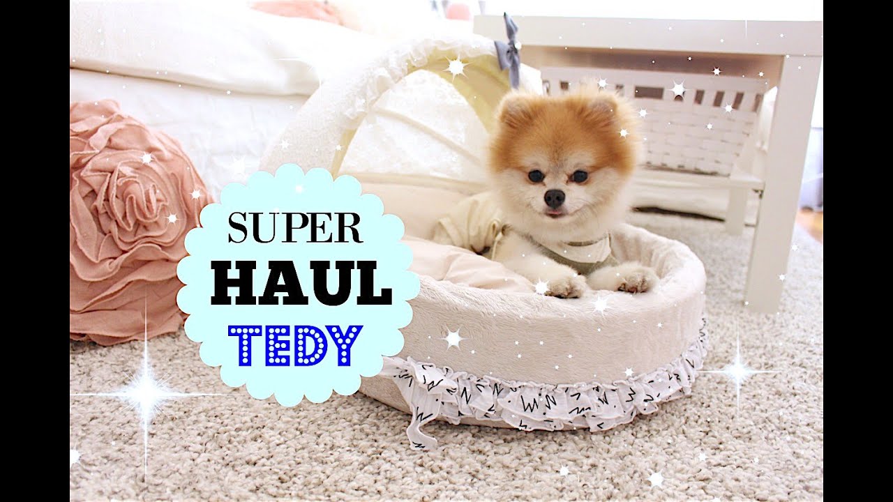 SUPER HAUL MASCOTAS ♡ TEDY- Los Caprichos de Kyra