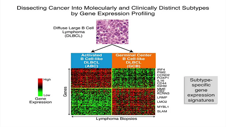 Practicing Precision Medicine in Cancer Using Genomics - Louis Staudt
