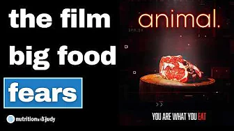 animal. The Film and Behind the Scenes. Meat is Not the Enemy – Josh Feldman