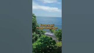 Komang Adi Pisaga Sampingan