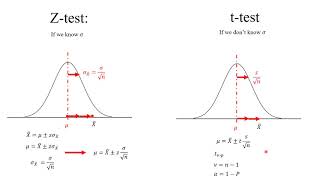 Statistics: Z score versus t score (Z test and t-test), difference between the two means