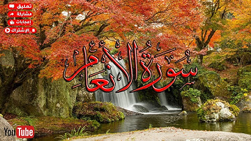 Sagrado Corán_ سورة الأنعام/ كاملة  قرآن للمساعدة على النوم والراحة النفسي