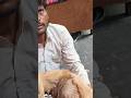 अपच से परेशान जानवर ! #goat #viralvideo #indigestion