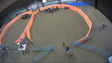 Big Sky Ranch Sorting Saddle Series #2 - #6 H/C - Round #1 - Ride #30