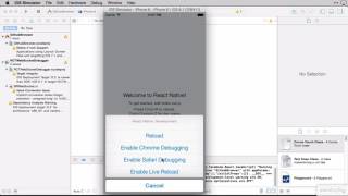 7   Getting started with React Native Genarator project