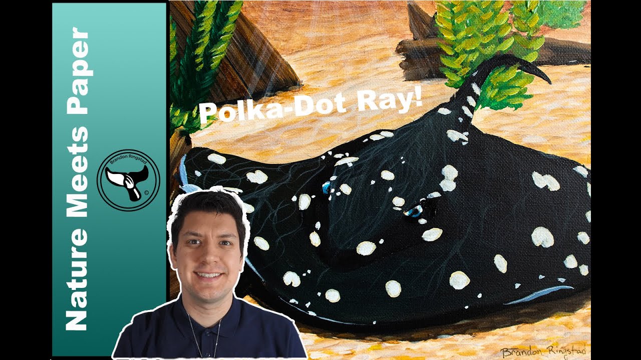 Xingu River Ray - 6:7 - Nature Meets Paper