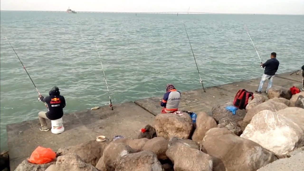 Fishing in Kuwait Bait Fishing in Sea പുതിയ ചൂണ്ട വാങ്ങി മീ
