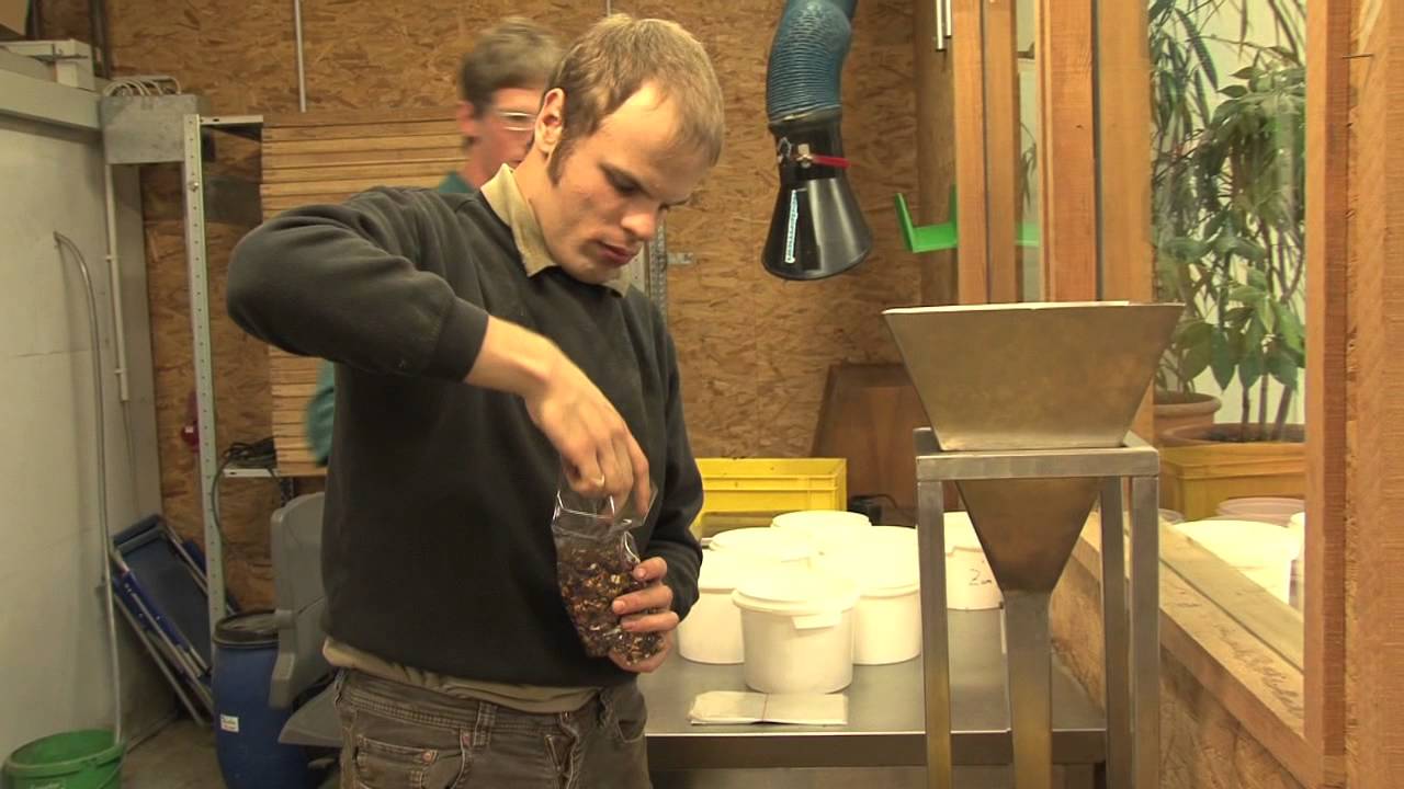 Über das Camphill Menschenbild - Hermannsberg Film Mosaik