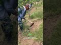 Limpiando finca con asadon #plantas #campomexicano #cafe #agricultura #sabiadocampo #limpiando