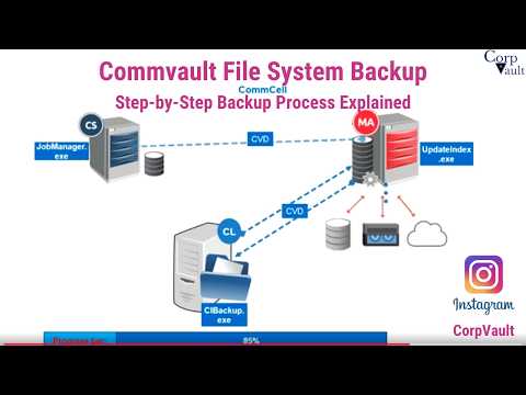 Commvault File System Backup | Step-by-Step Backup Process Explained