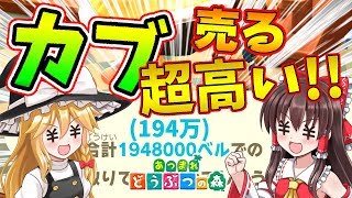 【あつ森】300万でカブ大量購入したらとんでもない結果になった！ｗ島民代表(笑)のあつまれどうぶつの森＃17【ゆっくり実況】