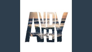 Приняла - Andy Rey