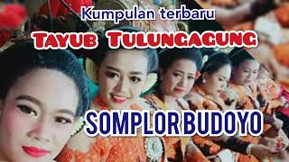 TAYUB  TULUNGAGUNG TEROP TERBARU - SOMPLOR BUDOYO MP 3