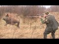 Wild boar Hunting Serbia | Lov divlje svinje u okolini Golupca | Caccia ai cinghiali