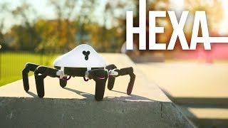 HEXA Robot Unboxing & First Look! Wealth