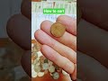 How to sort your change for copper and nickel stacking #sorting #change #shorts