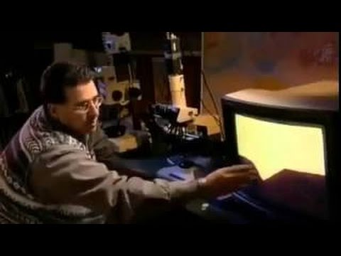 وثائقي آكلي لحوم البشر