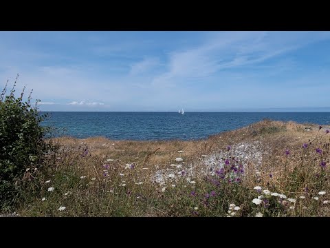 Video: Positiv Tænkning: Hvad Er Der Bagved?